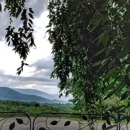 Blue Ridge Manor Bed And Breakfast Fancy Gap Εξωτερικό φωτογραφία
