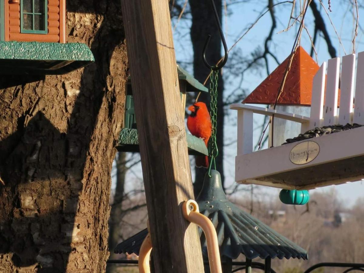Blue Ridge Manor Bed And Breakfast Fancy Gap Εξωτερικό φωτογραφία